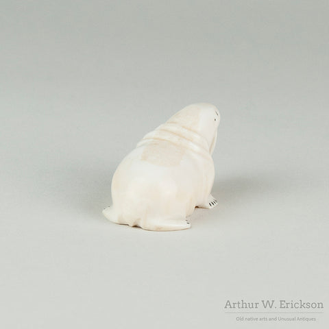 Inuit Carved Ivory Chubby Walrus