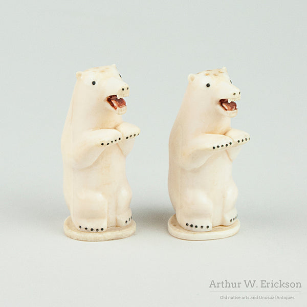 APairofFriendlyIvoryPolarBearS