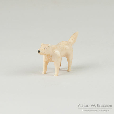 Inuit Carved Walrus Ivory Standing Fox