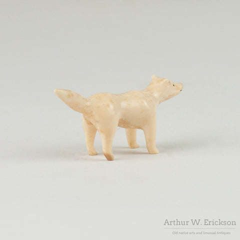 Inuit Carved Walrus Ivory Standing Fox
