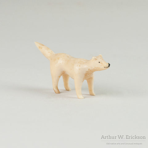 Inuit Carved Walrus Ivory Standing Fox