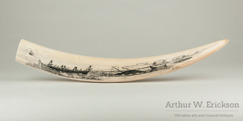 Inuit Scrimshawed Walrus Tusk by Wilbur Walluk (1928-1968)