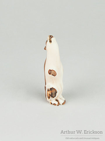 Howling Fox, Wolf,  or Dog Walrus Ivory Carving
