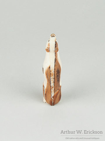 Howling Fox, Wolf,  or Dog Walrus Ivory Carving