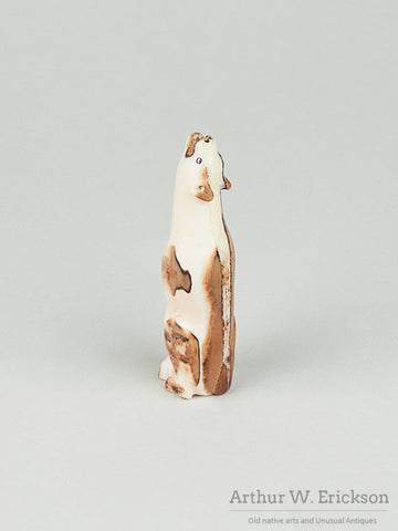 Howling Fox, Wolf,  or Dog Walrus Ivory Carving