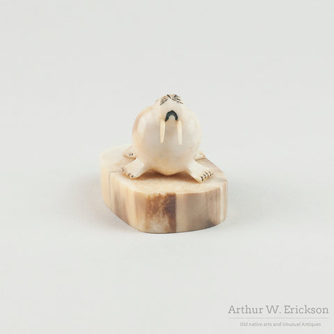 Inuit Carved Ivory Walrus on an Ivory Mount