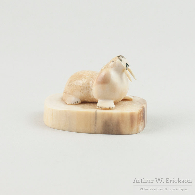 Inuit Carved Ivory Walrus on an Ivory Mount