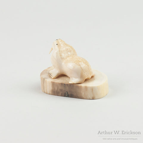 Inuit Carved Ivory Walrus on an Ivory Mount