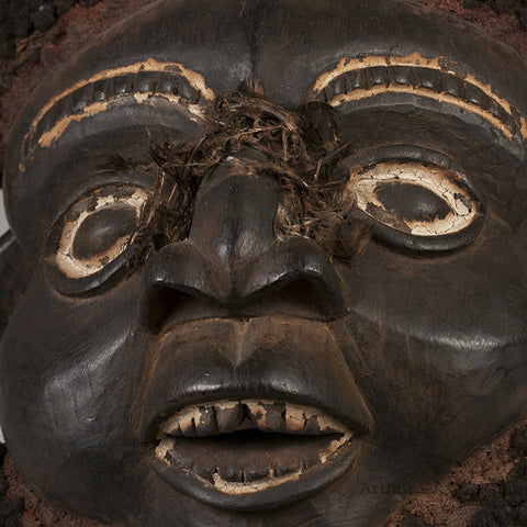Cameroon Akam Mask - Arthur W. Erickson - 5