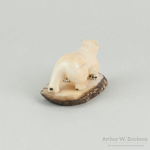 Carved Polar Bear on Walrus Ivory Base