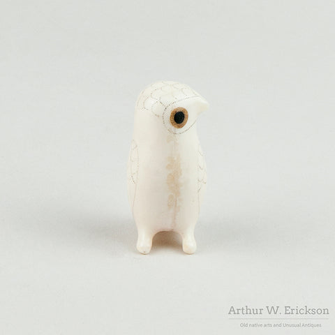 Don Ungott Ivory Owl