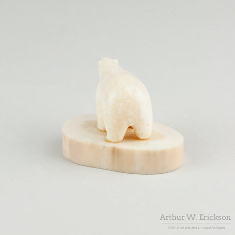 Ivory Bulky Polar Bear on Oval Mount