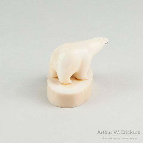 Ivory Bulky Polar Bear on Oval Mount