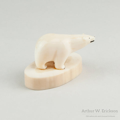 Ivory Bulky Polar Bear on Oval Mount