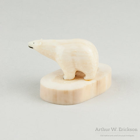 Ivory Bulky Polar Bear on Oval Mount