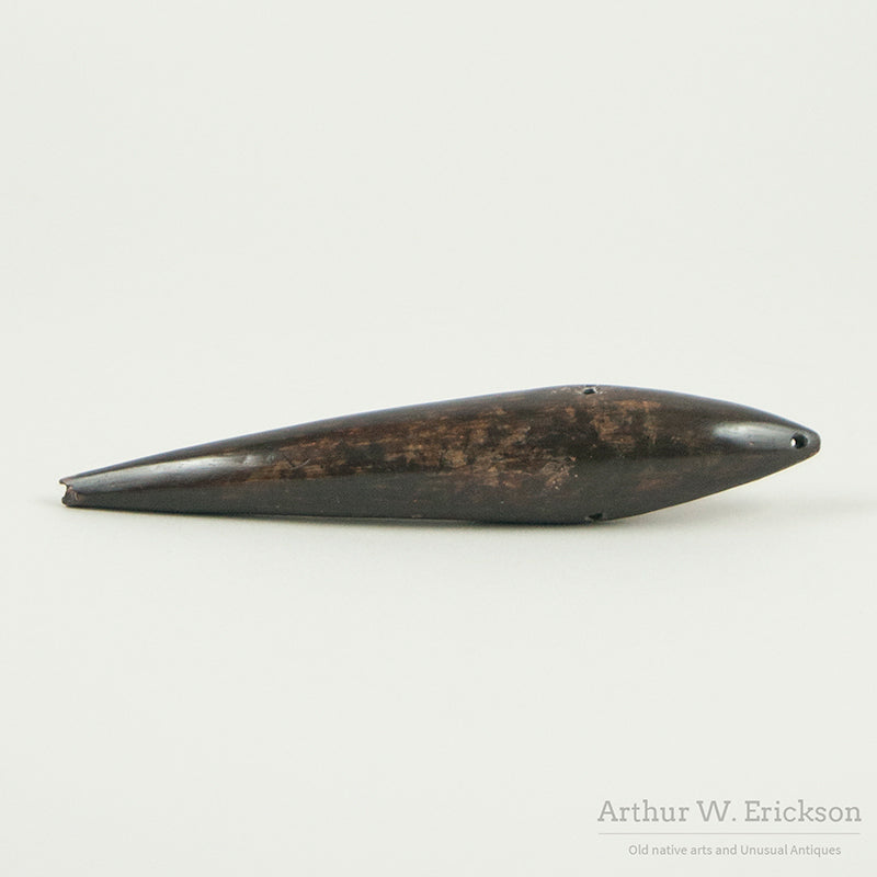 Large Excavated Walrus Ivory Sinker