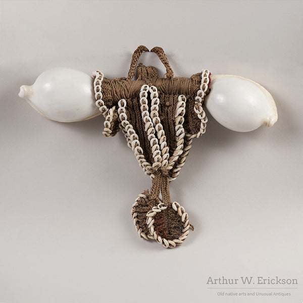 Papua New Guinea Ovula Shell Necklace