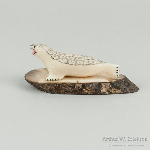 Ivory Harbor Seal on Fossilized Ivory Base