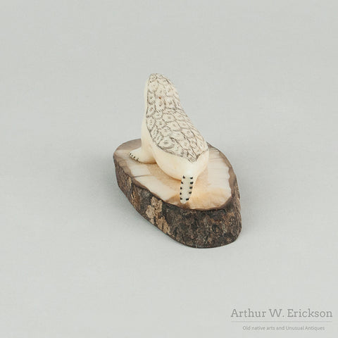 Ivory Harbor Seal on Fossilized Ivory Base