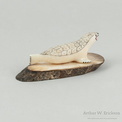 Ivory Harbor Seal on Fossilized Ivory Base