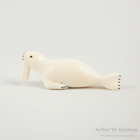 Big Tusked Carved Ivory Walrus