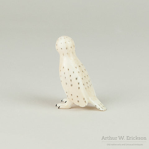 Carved walrus Ivory Snowy Owl by Charles Kokuluk