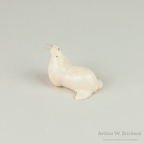 Chubby Walrus Ivory Walrus with Seal Whisker Tusks