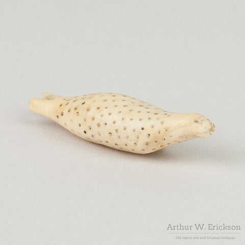 Walrus Ivory Spotted Seal