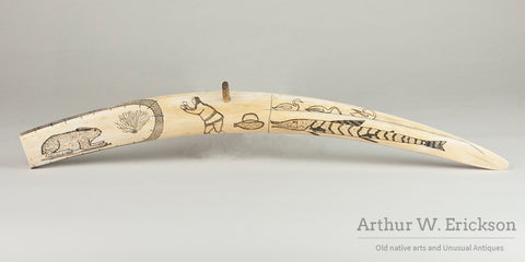 Walrus Ivory Cribbage Board with Relief Carved Critters