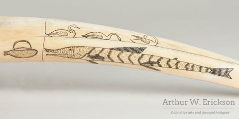 Walrus Ivory Cribbage Board with Relief Carved Critters