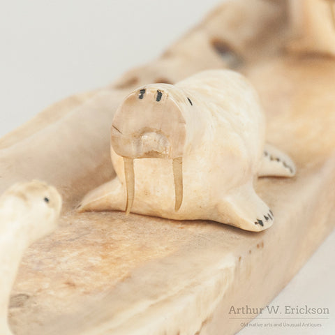 Three Inuit Carved Walruses on a Fossilized Ivory Sled Runner