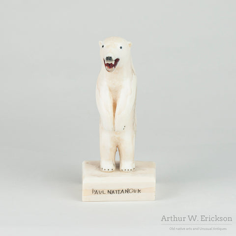 Very Large Standing Inuit Carved Walrus Ivory Polar Bear by Paul Nattanguk