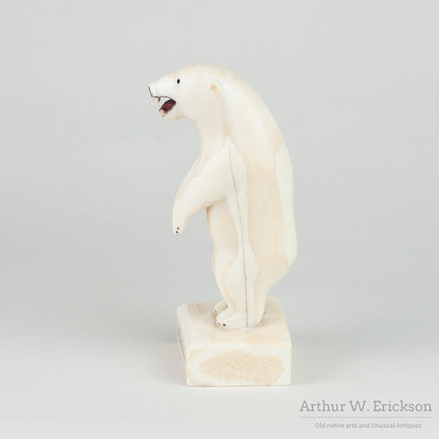 Very Large Standing Inuit Carved Walrus Ivory Polar Bear by Paul Nattanguk