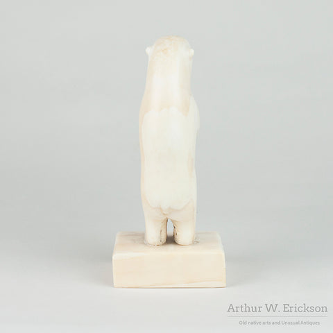 Very Large Standing Inuit Carved Walrus Ivory Polar Bear by Paul Nattanguk