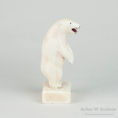 Very Large Standing Inuit Carved Walrus Ivory Polar Bear by Paul Nattanguk