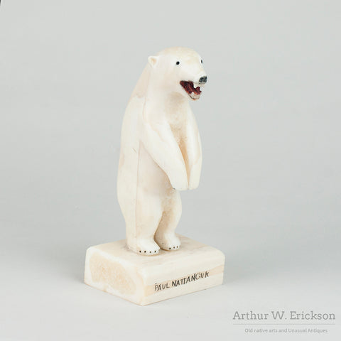 Very Large Standing Inuit Carved Walrus Ivory Polar Bear by Paul Nattanguk