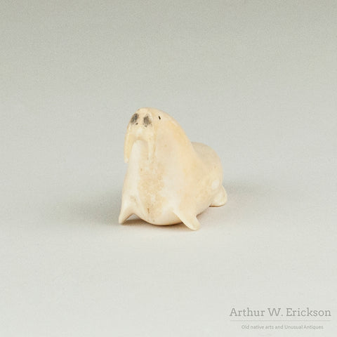 Walrus Ivory Walrus