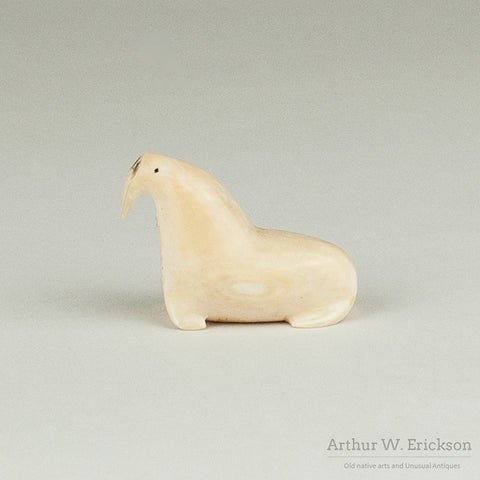 Walrus Ivory Walrus