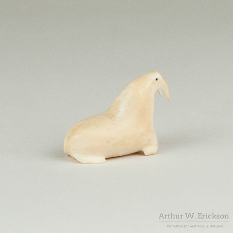 Walrus Ivory Walrus