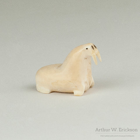 Walrus Ivory Walrus