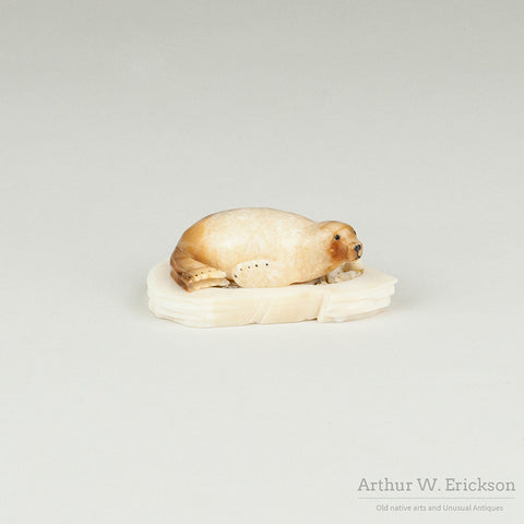 Fossilized Walrus Ivory Seal on a Mount by Brian Kulik