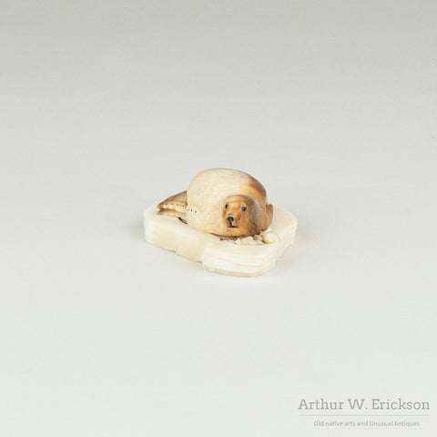 Fossilized Walrus Ivory Seal on a Mount by Brian Kulik