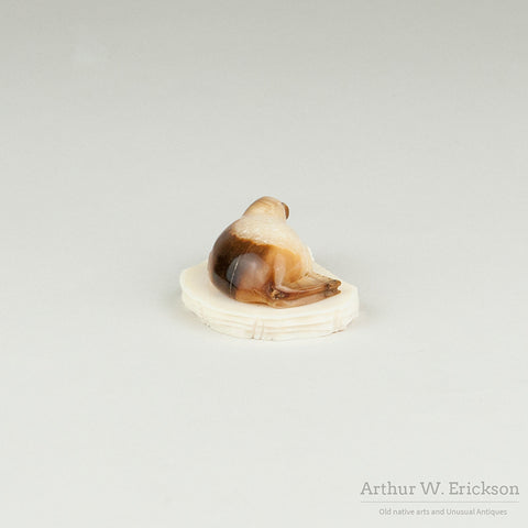 Fossilized Walrus Ivory Seal on a Mount by Brian Kulik