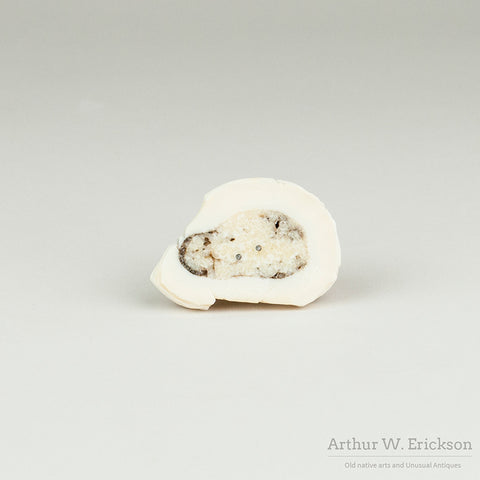 Fossilized Walrus Ivory Seal on a Mount by Brian Kulik