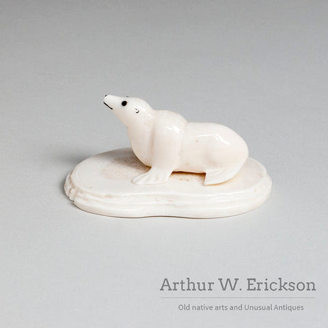 Walrus Ivory Sea Lion on an Ivory Mount by Paul Kulik
