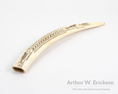 Inuit Carved walrus Ivory Cribbage Board