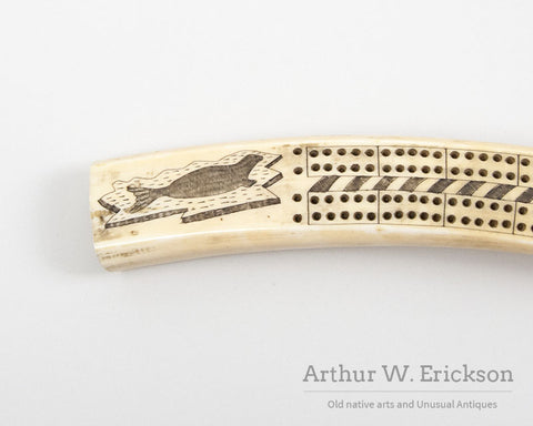 Inuit Carved walrus Ivory Cribbage Board