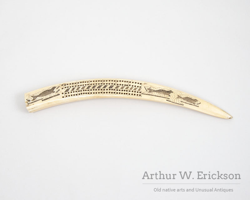 Inuit Carved walrus Ivory Cribbage Board