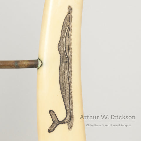 Scrimshawed Walrus Ivory Tusk Easel