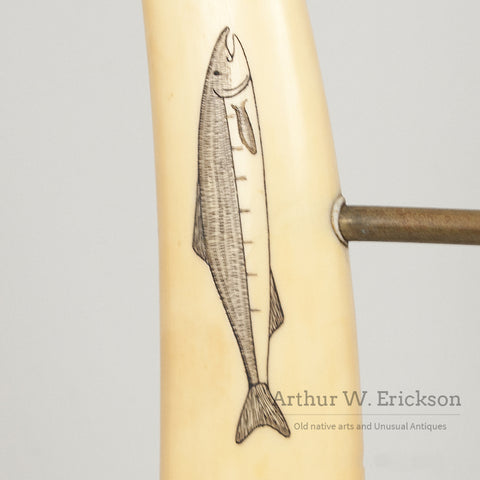 Scrimshawed Walrus Ivory Tusk Easel